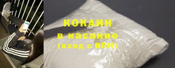 амф Гусев