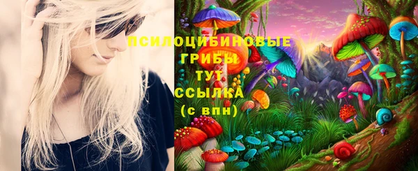 круглые Верея